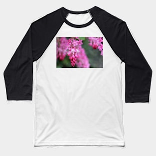 Ribes sanguineum Baseball T-Shirt